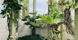 Bán Penthouse The Vista An Phú 5PN, 450M², Giá 47 Tỷ – Có Sổ Hồng, Nhà Đẹp, Capital Land Singapore