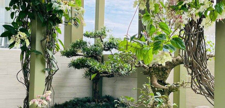 Bán Penthouse The Vista An Phú 5PN, 450M², Giá 47 Tỷ – Có Sổ Hồng, Nhà Đẹp, Capital Land Singapore